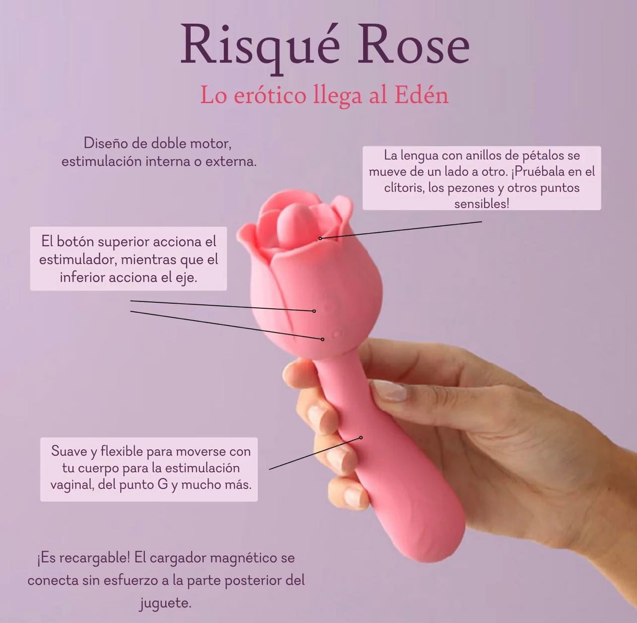 Risqué Rose